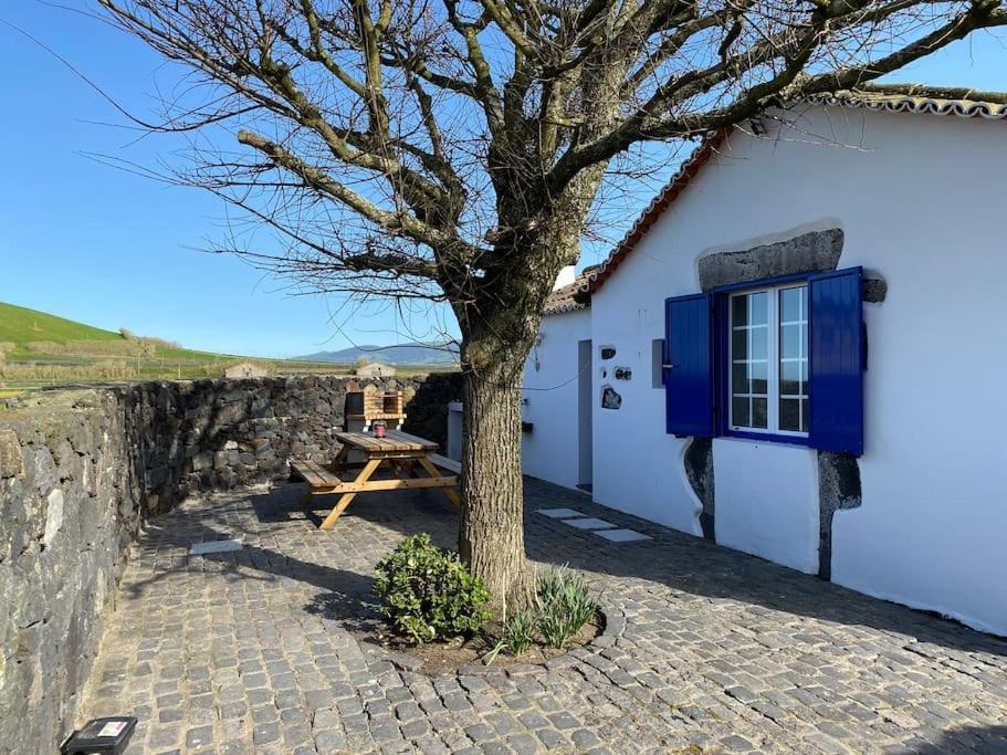 Vacas Felizes Villas - Casa Da Bilha Rabo de Peixe エクステリア 写真